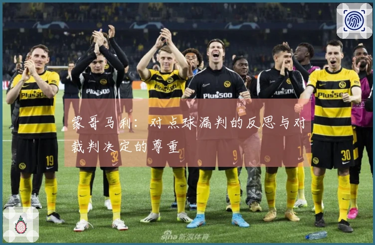 蒙哥马利：对点球漏判的反思与对裁判决定的尊重