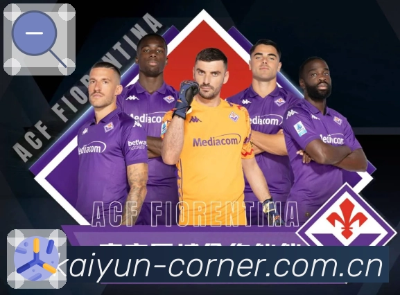 <strong>开云</strong>审计追踪与复核